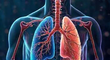 Hormone und Asthma: Ein komplexes Zusammenspiel