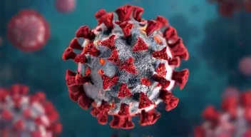 Diagnose einer Norovirus-Infektion (6/10)
