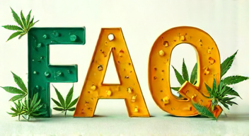 Die 5 meistgestellten Fragen (FAQ) zu medizinischem Cannabis