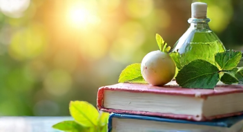 Soziale Perspektiven auf Frauengesundheit (6/10)