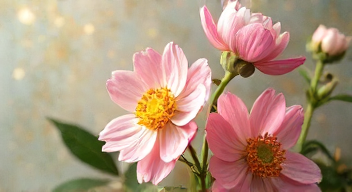 Der Einfluss von Gewöhnung auf den Ekel: Einsichten von Dr. Roland Mühlbauer (2/10)