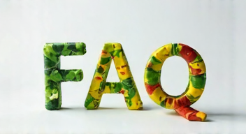 Die 5 meistgestellten Fragen (FAQ) zu Plastik und Gesundheit