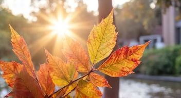 Die Rolle der Kunst bei Allergien (10/10)