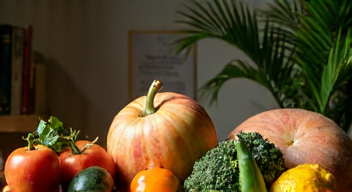 Kulturelle Perspektiven auf Übergewicht und Gesundheit (3/10)