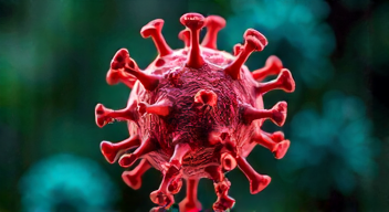 Perspektiven zu Nipah-Virus und seinen Auswirkungen